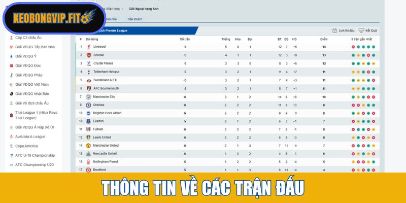 Thông tin về các trận đấu