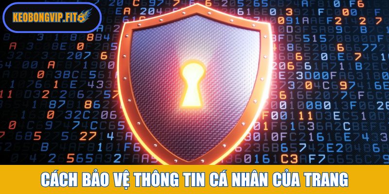 Cách bảo vệ thông tin cá nhân của trang Keobongvip Fit