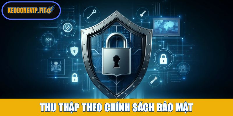 Thông tin thu thập theo chính sách bảo mật