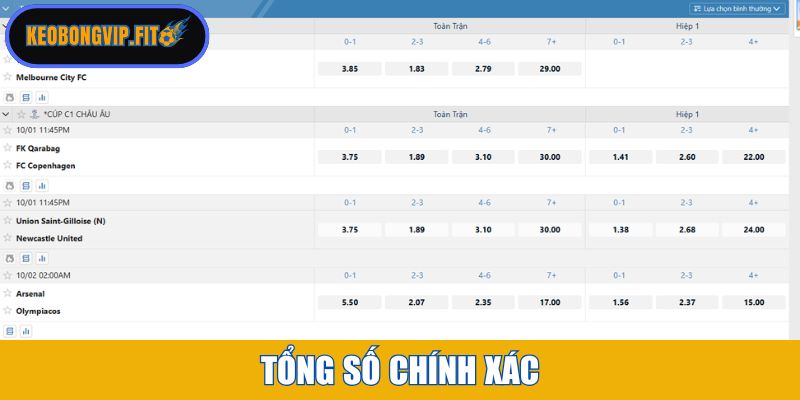 Tổng số chính xác