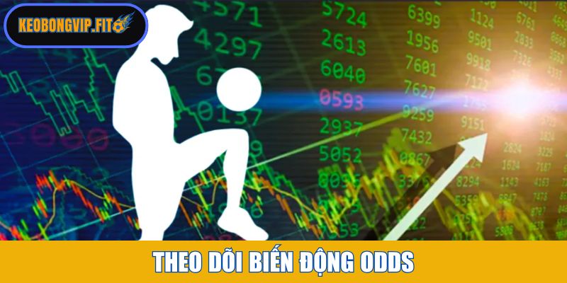 Theo dõi biến động Odds