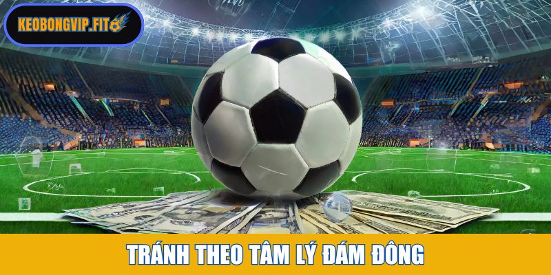 Tránh theo tâm lý đám đông