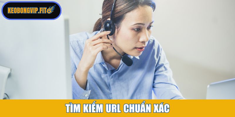 Tìm kiếm url chuẩn xác