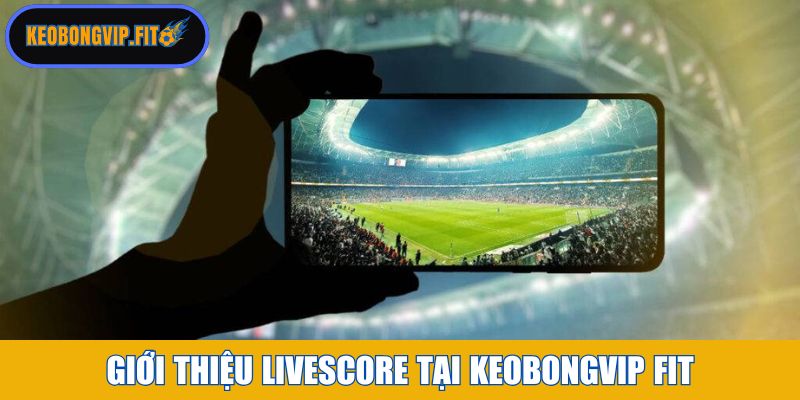 Giới thiệu Livescore tại web Keobongvip Fit