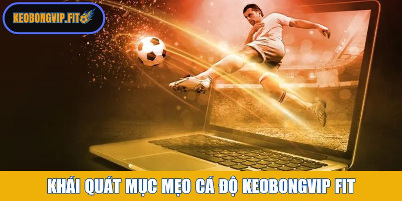 Khái quát mục Mẹo Cá Độ tại Keobongvip Fit