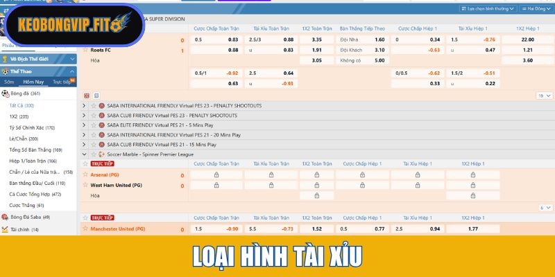 Loại hình tài xỉu