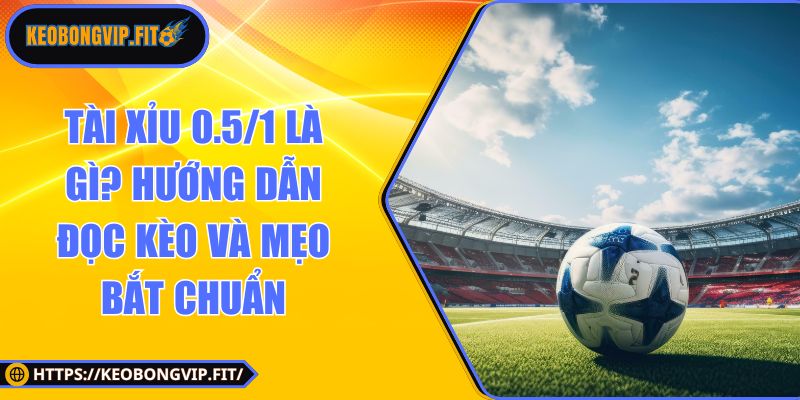tài xỉu 0.5/1 là gì