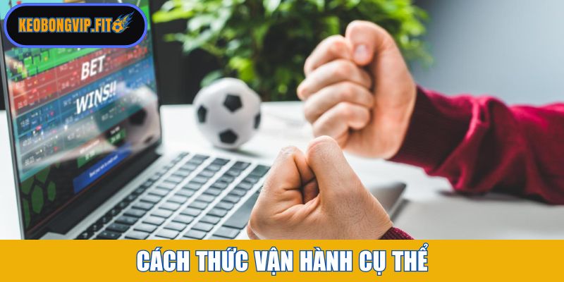 Cách thức vận hành cụ thể 