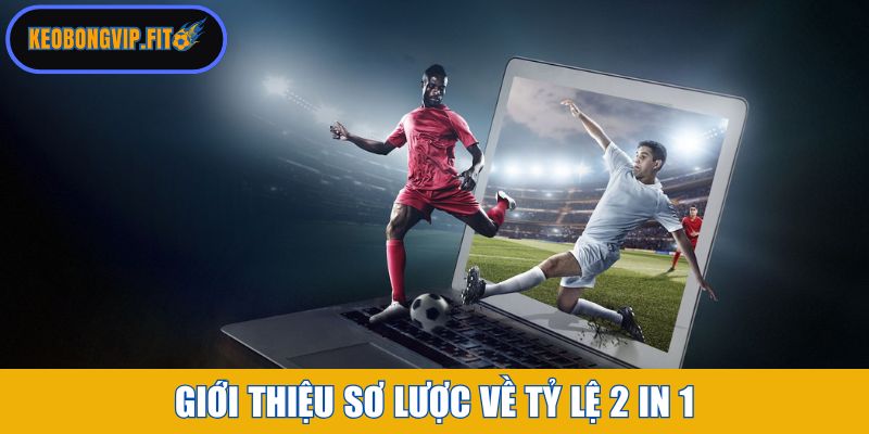 Giới thiệu sơ lược về tỷ lệ 2 in 1